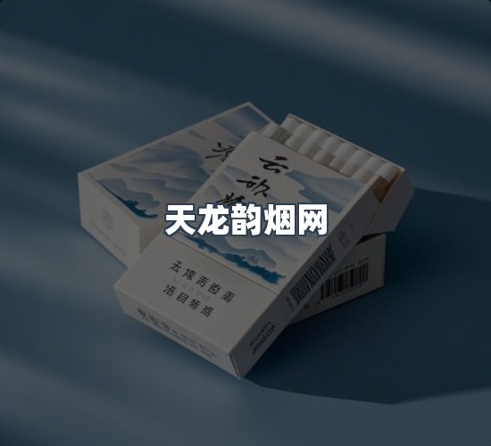 关于天龙韵烟网